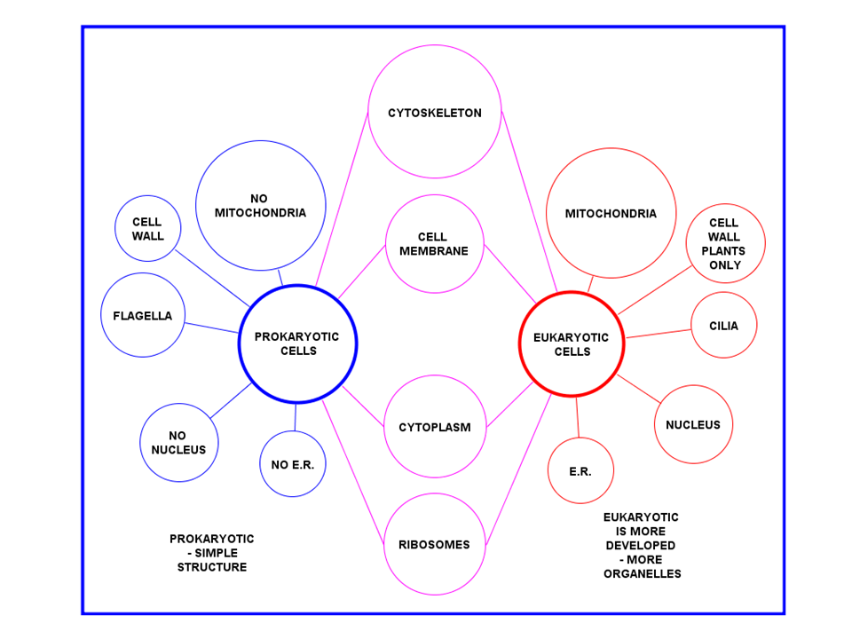 involves skills in problem solving and scientific thinking