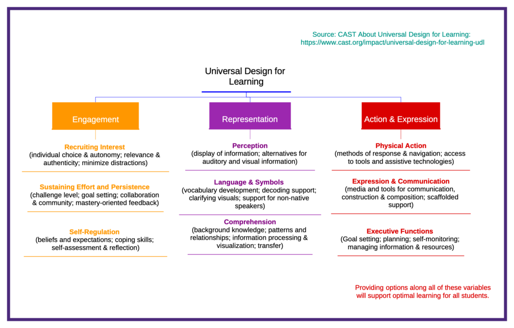 A Tree Map showing the three branches of UDL: Engagement, Representation, and Action and Expression.