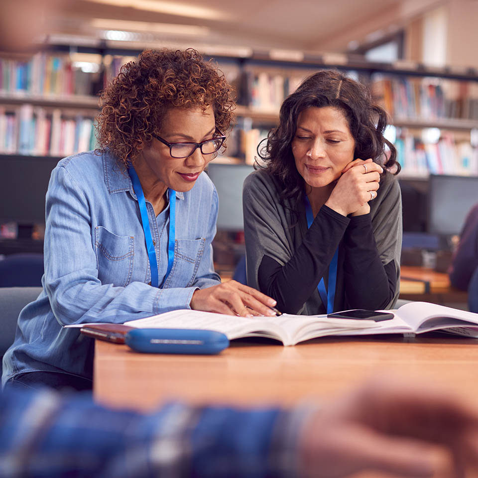 Teachers learning in a library